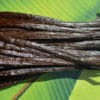 Vanille du Guatemala