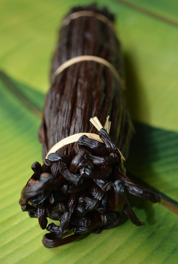 Vanille Bourbon de La Réunion – Ste Rose – Vanilla planifolia – Qualité  Gourmet (A1) – 17/18cm