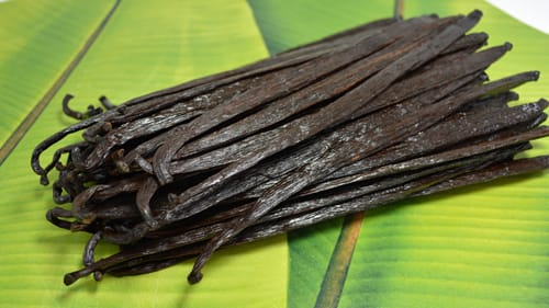 Vanille gourmet origine Veracruz