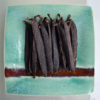 Vanille de Guyane vanilla pomona